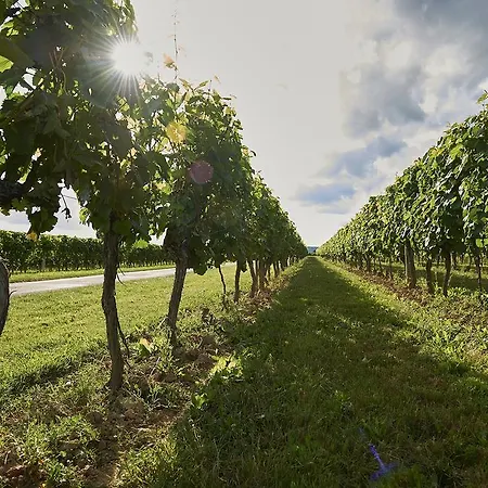 Francecomfort - Village Des Cigales Mauroux (Lot)